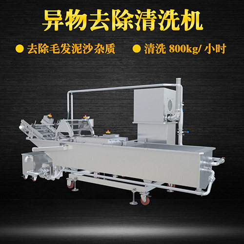 果蔬氣泡翻洗機(jī)，有效清洗，過濾泥沙