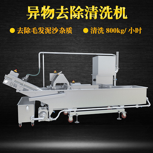 果蔬專用清洗機，氣泡清洗，清洗800kg小時